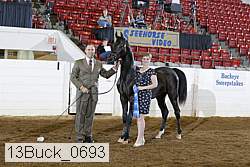 13buck_0693 proof