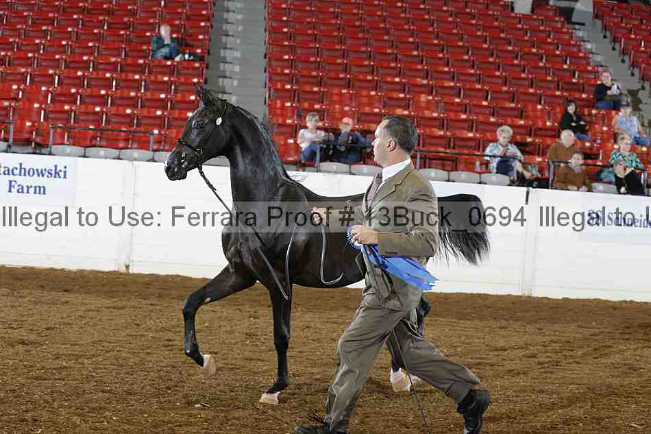 Proof 13buck_0694
