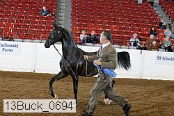 13buck_0694 proof