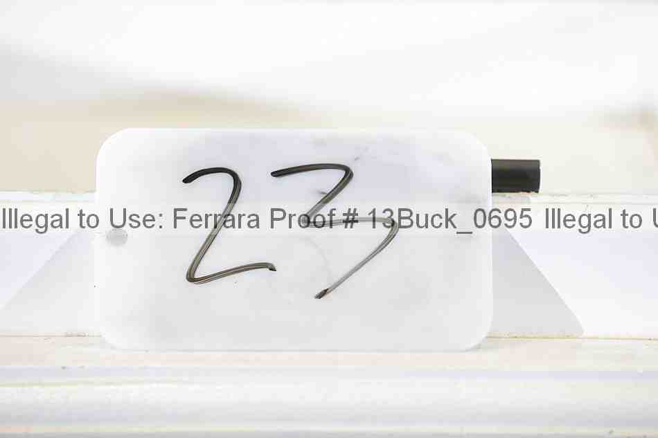 Proof 13buck_0695