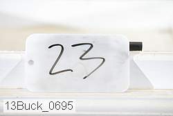 13buck_0695 proof