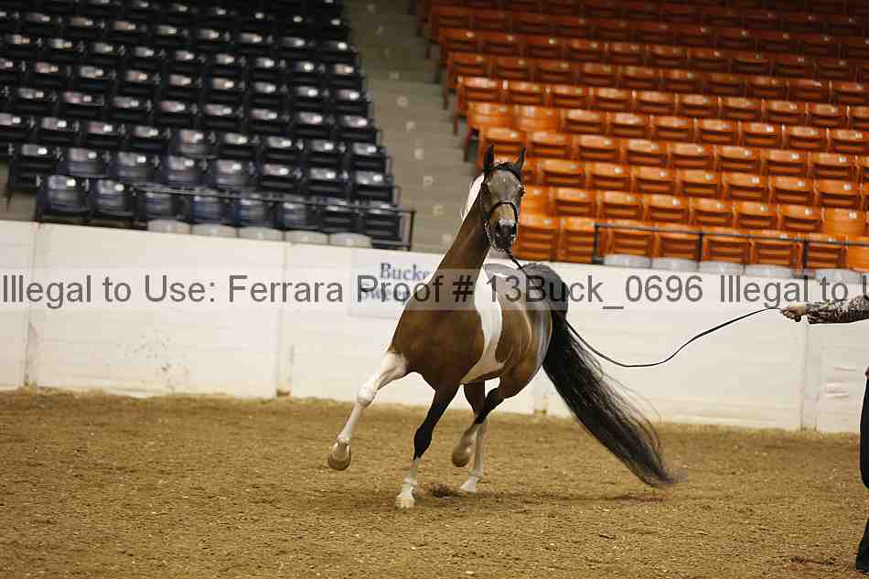 Proof 13buck_0696