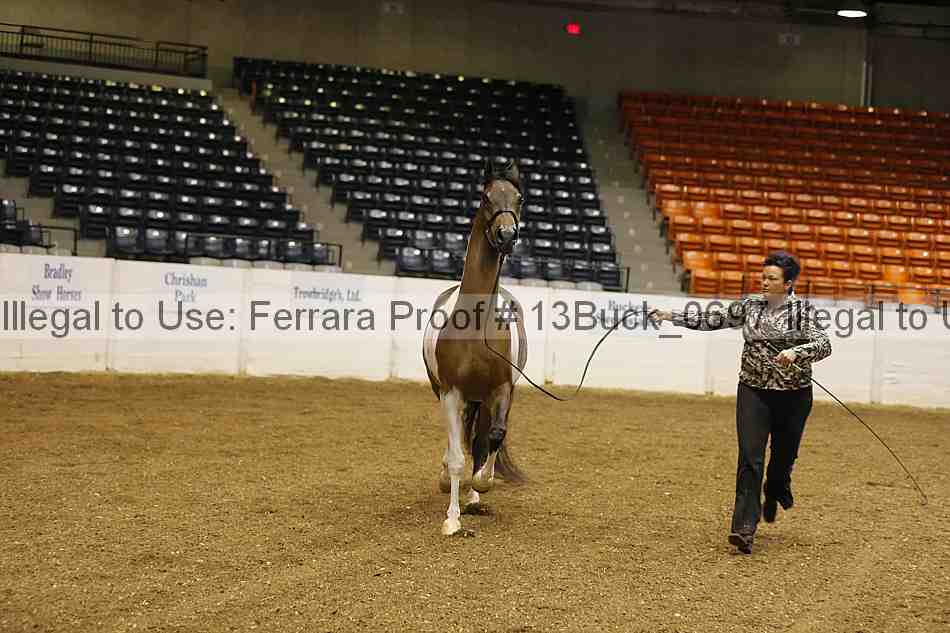Proof 13buck_0697