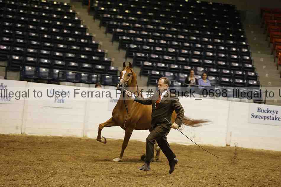 Proof 13buck_0698