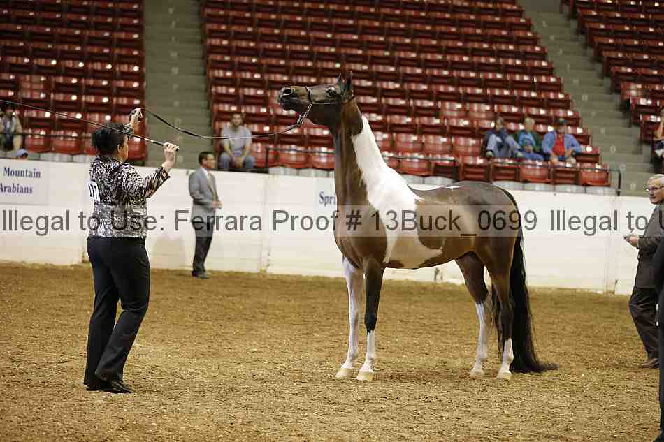Proof 13buck_0699