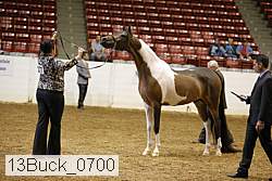 13buck_0700 proof