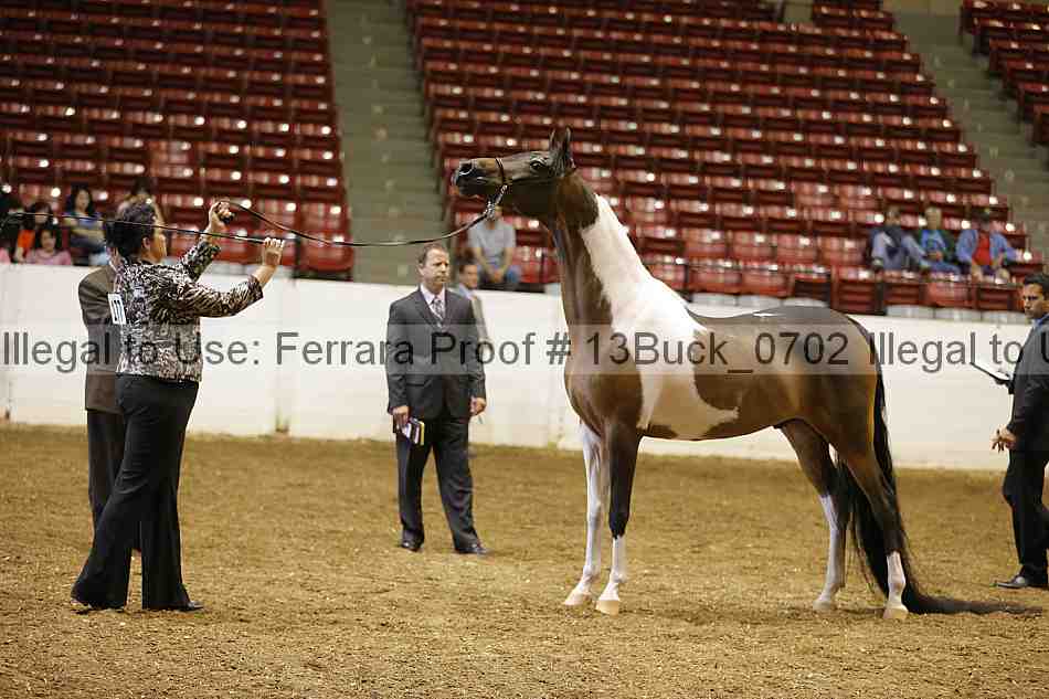 Proof 13buck_0702
