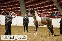 13buck_0702 proof