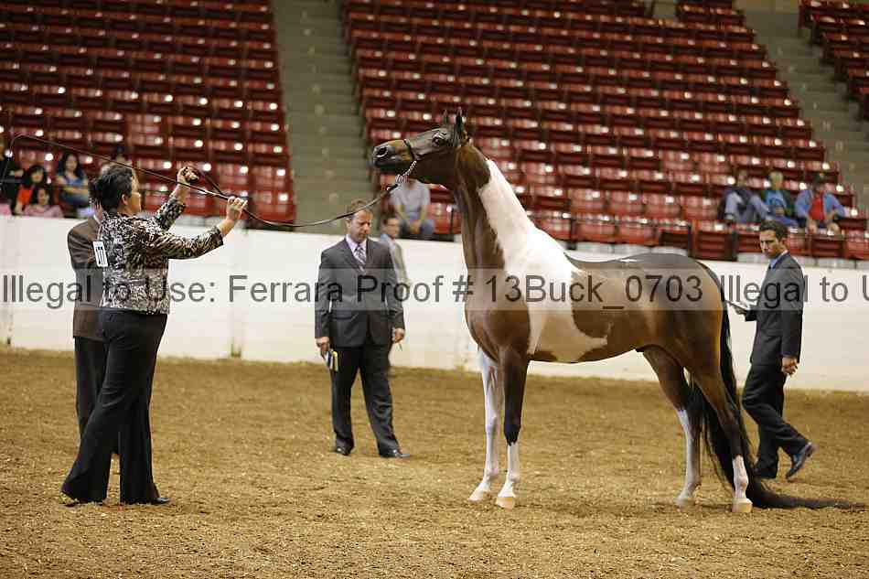 Proof 13buck_0703