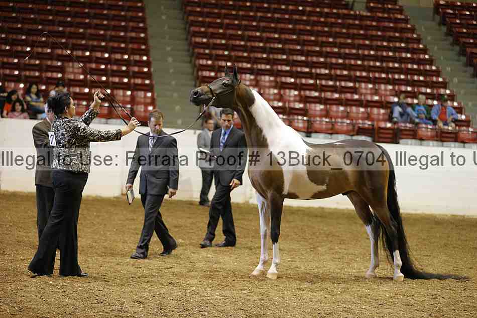 Proof 13buck_0704