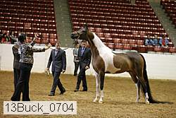 13buck_0704 proof