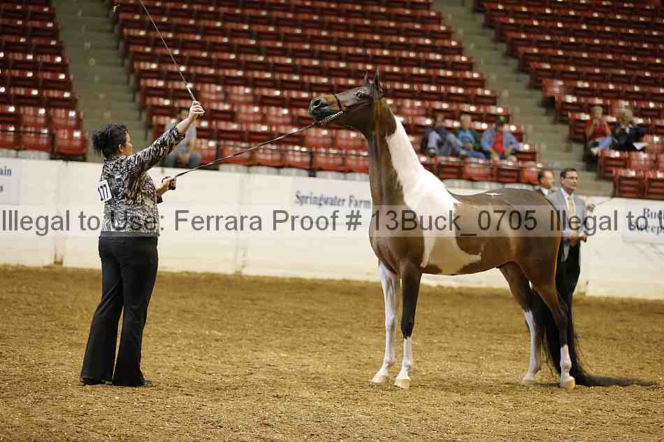 Proof 13buck_0705