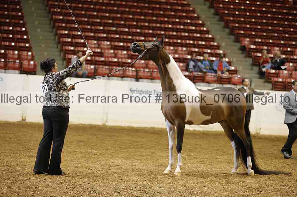 Proof 13buck_0706