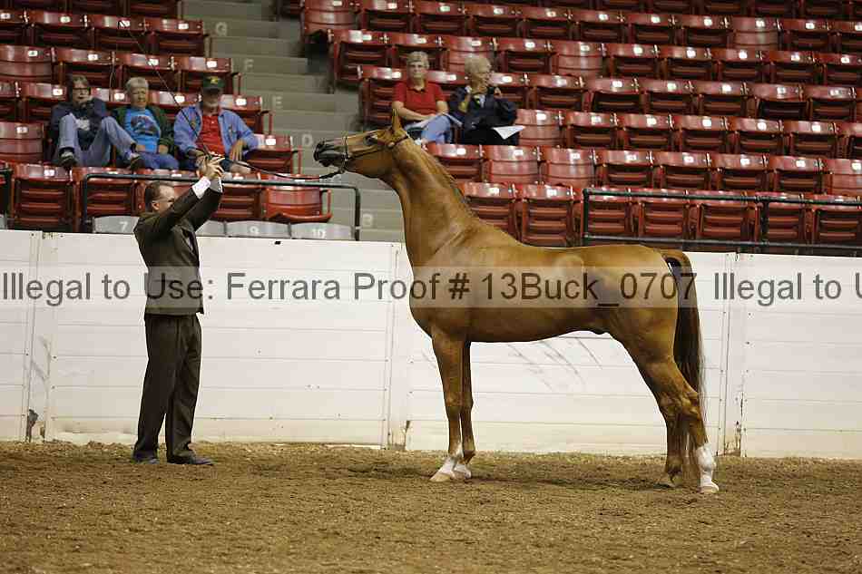 Proof 13buck_0707