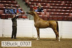 13buck_0707 proof