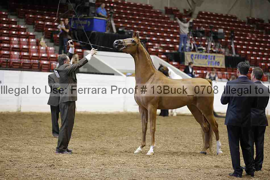 Proof 13buck_0708