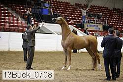 13buck_0708 proof