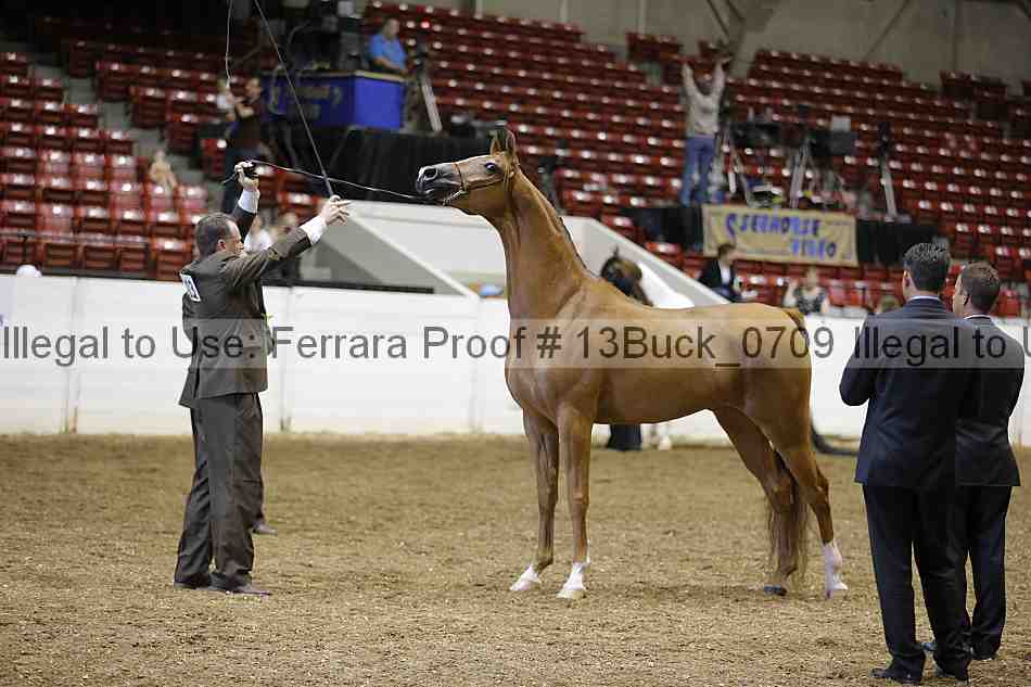 Proof 13buck_0709