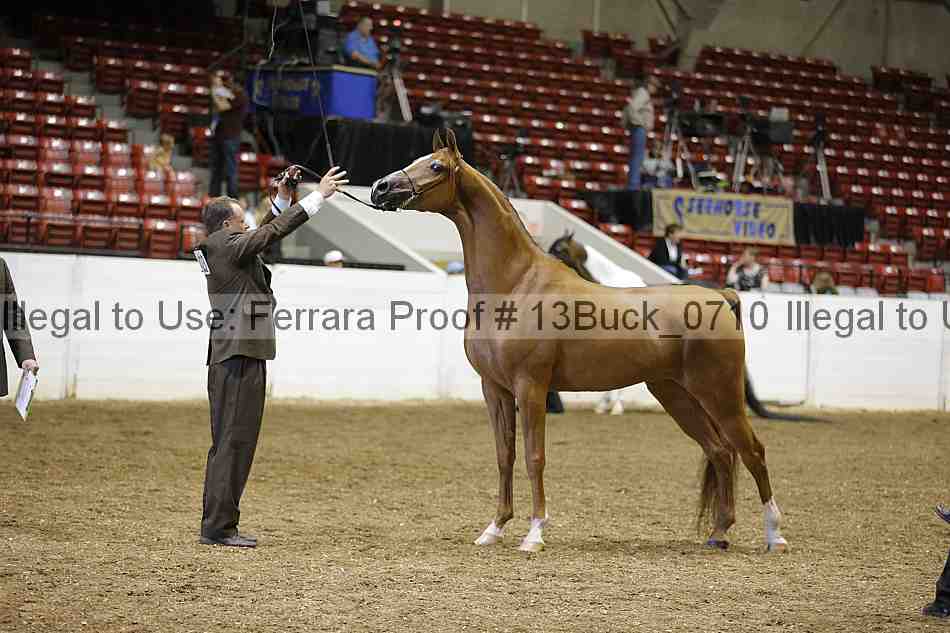 Proof 13buck_0710