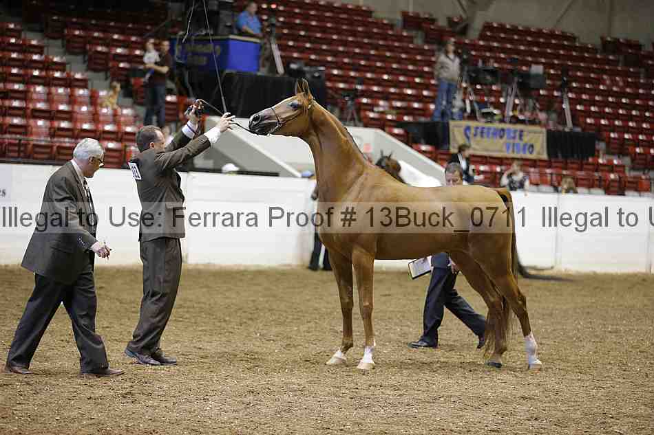 Proof 13buck_0711