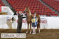 13buck_0713 proof