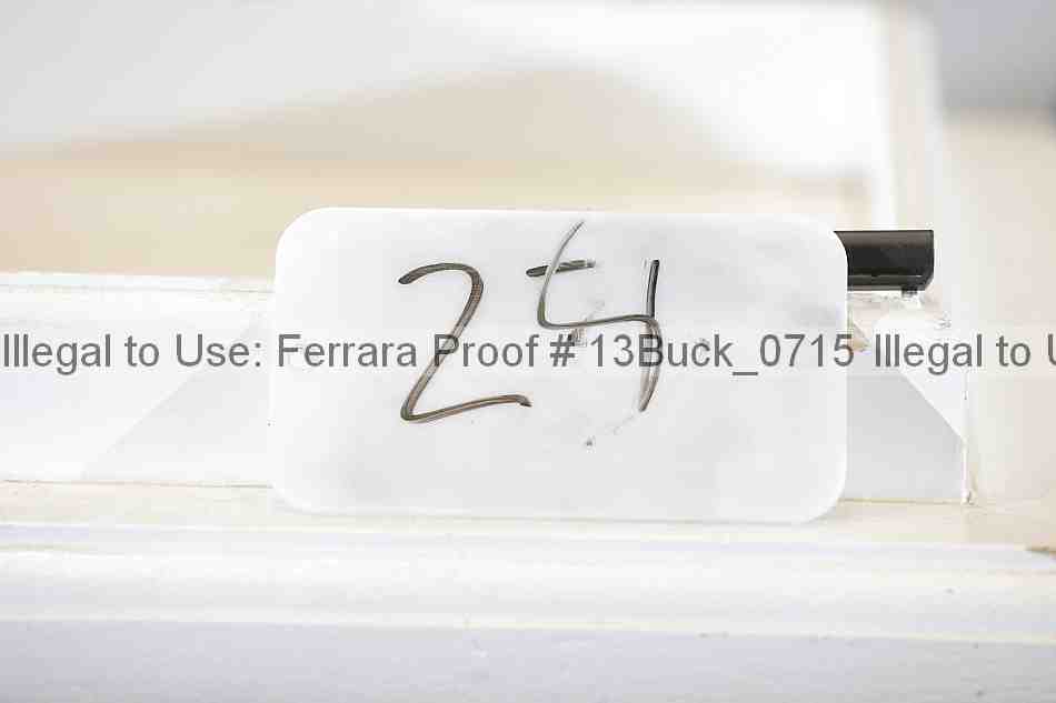 Proof 13buck_0715