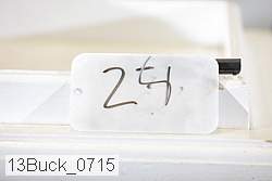 13buck_0715 proof