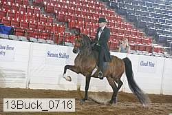 13buck_0716 proof
