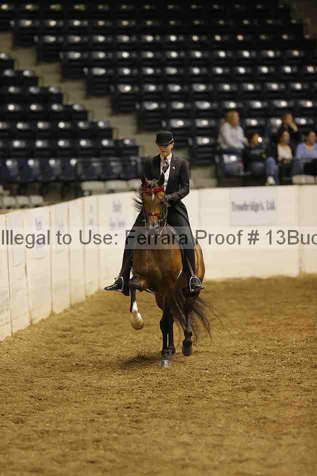 Proof 13buck_0717