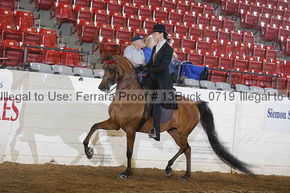 Proof 13buck_0719