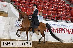 13buck_0720 proof