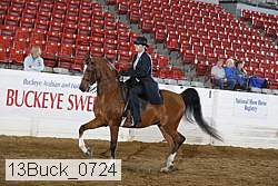 13buck_0724 proof