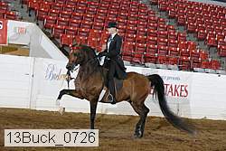 13buck_0726 proof