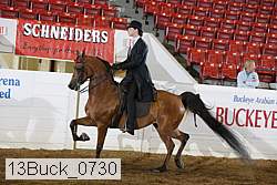 13buck_0730 proof