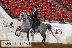 13buck_0731 proof