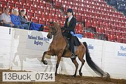 13buck_0734 proof