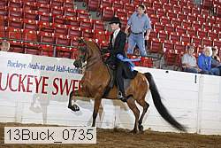 13buck_0735 proof