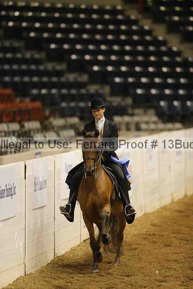 Proof 13buck_0738