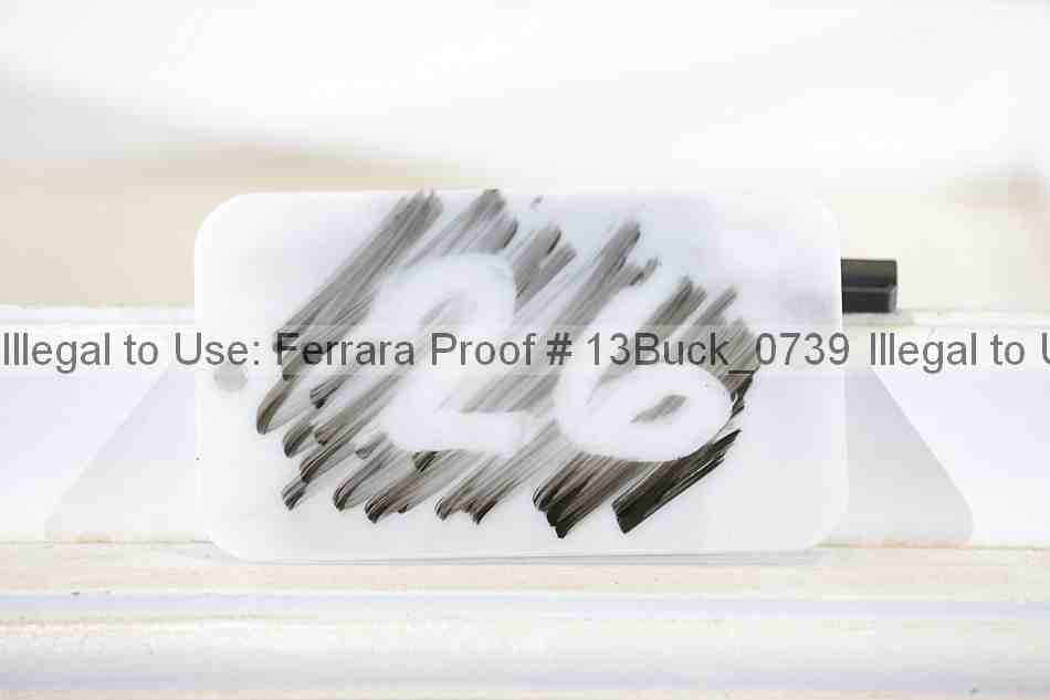 Proof 13buck_0739