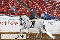 13buck_0740 proof