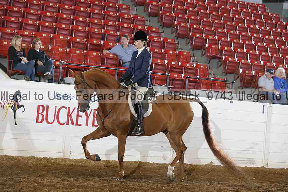 Proof 13buck_0743
