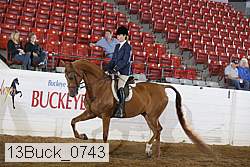 13buck_0743 proof
