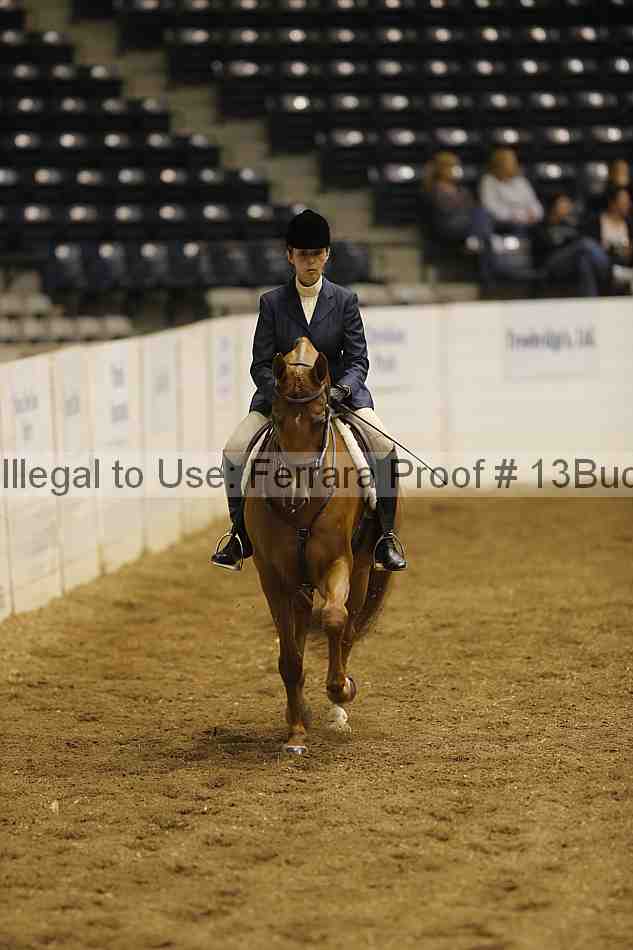 Proof 13buck_0744