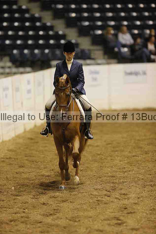 Proof 13buck_0745