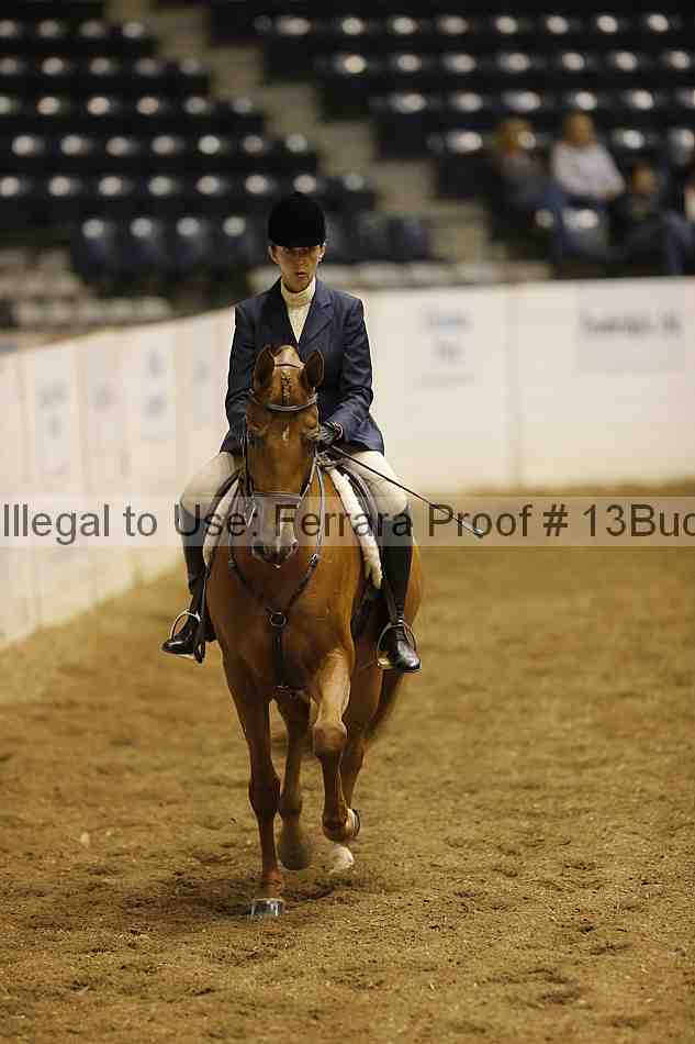 Proof 13buck_0746