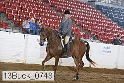 13buck_0748 proof