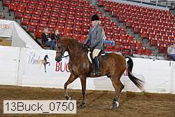 13buck_0750 proof