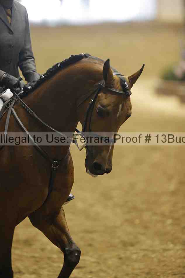 Proof 13buck_0751
