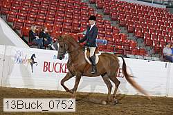 13buck_0752 proof