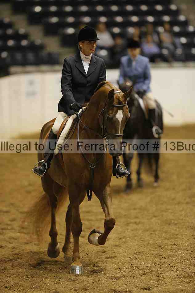 Proof 13buck_0756